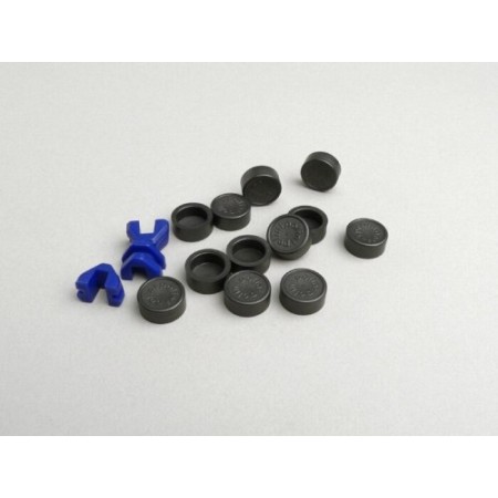 COPERCHIETTI RULLI RULLI VARIATORE D. 16 POLINI