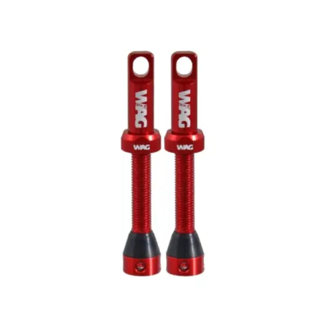COPPIA VALVOLE TUBELESS WAG