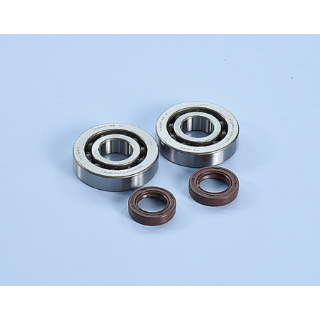 KIT REVISIONE ALBERO MOTORE PIAGGIO POLINI