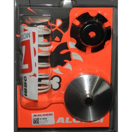 VARIATORE NRG PIAGGIO - MALOSSI