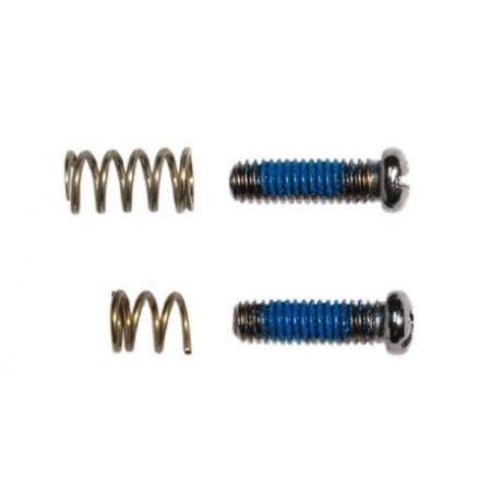 VITI + MOLLE REGISTRO CAMBIO RECORD 10 V RD-RE110 CAMPAGNOLO