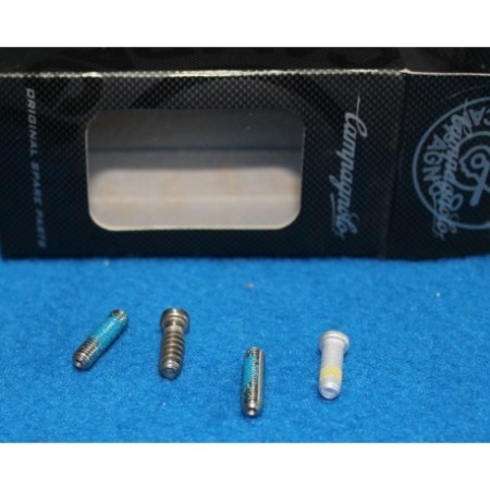 VITI REGOLAZIONE CAMBIO SUPER RECORD 11 V RD-SR005 CAMPAGNOLO