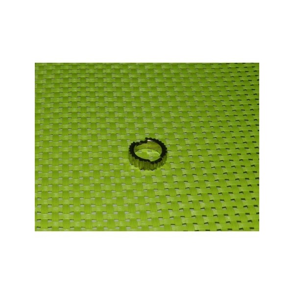 INSERTO DENTATO 10V SL-RE319 CAMPAGNOLO