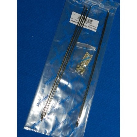 RAGGI CAMPAGNOLO KIT PER RUOTE EURUS