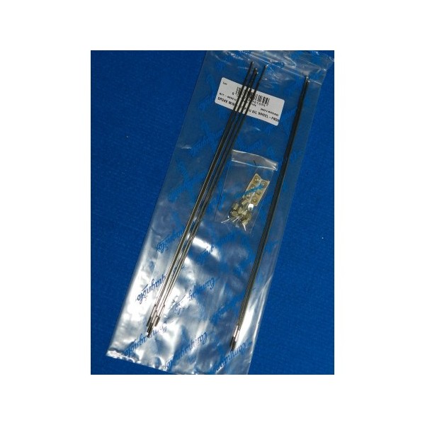 RAGGI CAMPAGNOLO KIT PER RUOTE EURUS