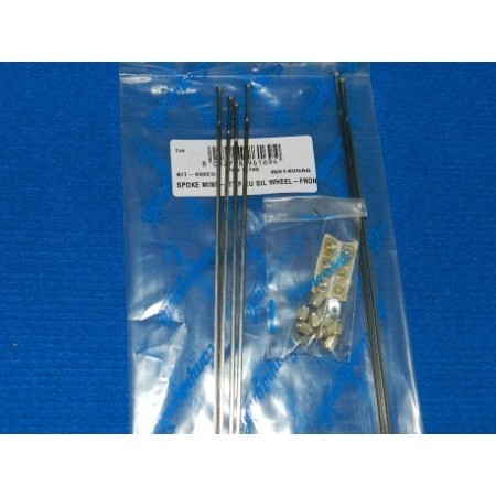 RAGGI CAMPAGNOLO KIT PER RUOTE EURUS