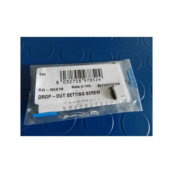 VITE REGISTRO CAMBIO RD-RE018 CAMPAGNOLO