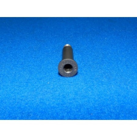 VITE CORPO INFERIORE CAMPAGNOLO