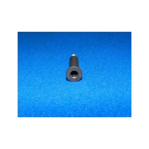 VITE CORPO INFERIORE CAMPAGNOLO