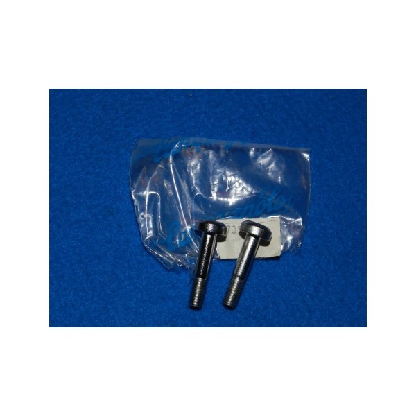 VITI x LEVA FRONTALE CHORUS CAMPAGNOLO