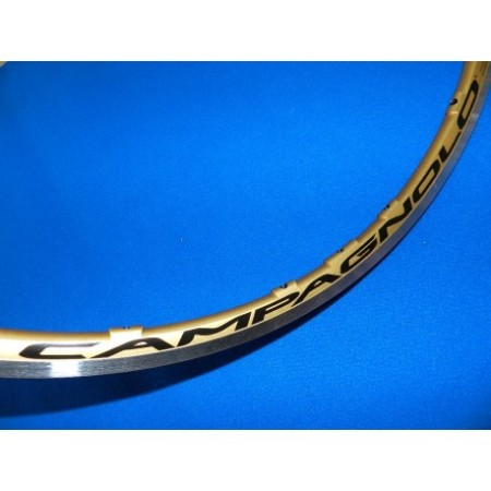 CERCHIO ANTERIORE SHAMAL ULTRA SERIE ORO CAMPAGNOLO
