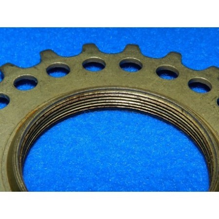 INGRANAGGIO  DENTI 21 REGINA