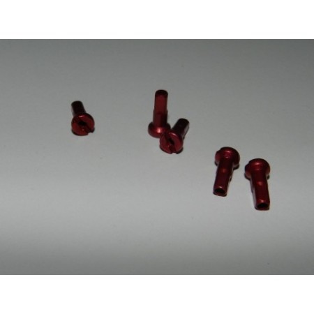 NIPPLES ERGAL ROSSO BORDO'  mm.2