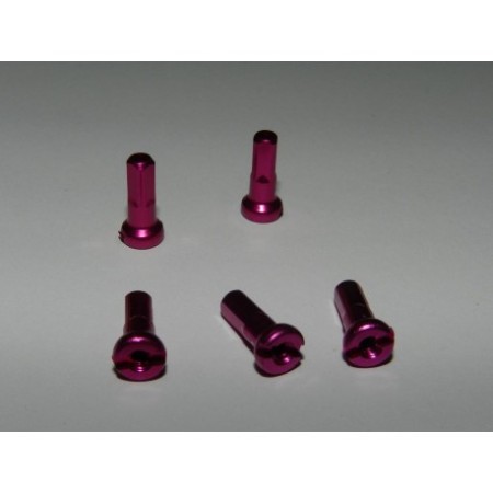 NIPPLES ERGAL VIOLA CHIARO mm.2