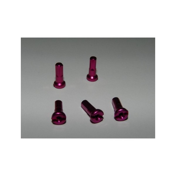 NIPPLES ERGAL VIOLA CHIARO mm.2