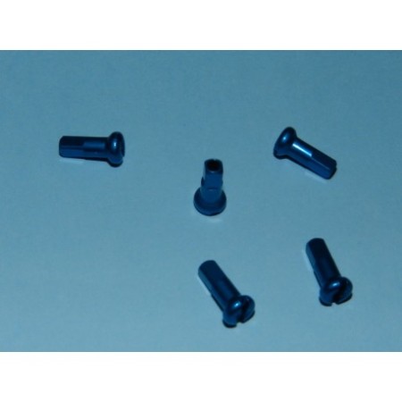 NIPPLES ERGAL AZZURRO mm.2