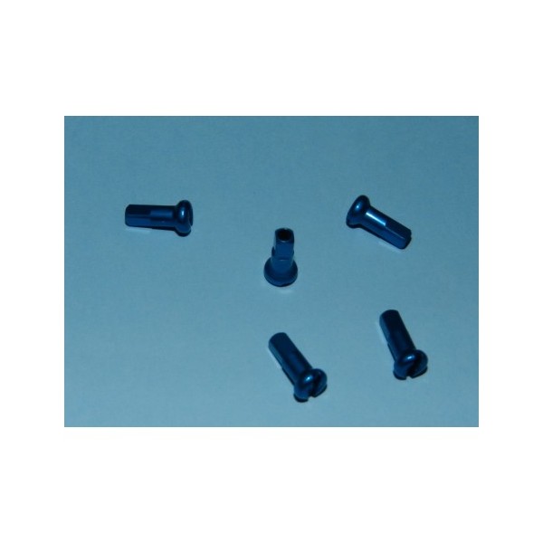 NIPPLES ERGAL AZZURRO mm.2