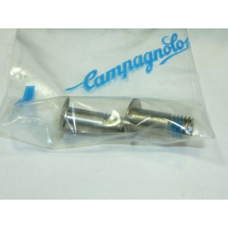 VITE CAMBIO RD-RE030 CAMPAGNOLO
