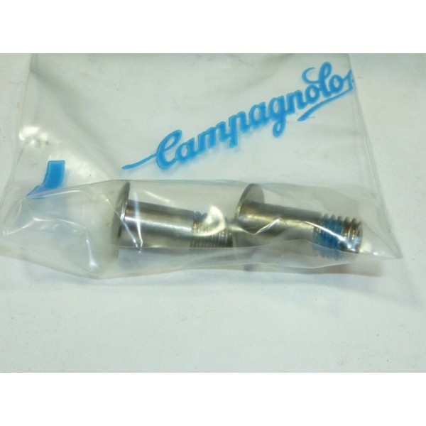 VITE CAMBIO RD-RE030 CAMPAGNOLO