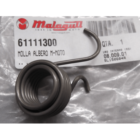 MOLLA MESSA IN MOTO GRIZZLY MALAGUTI