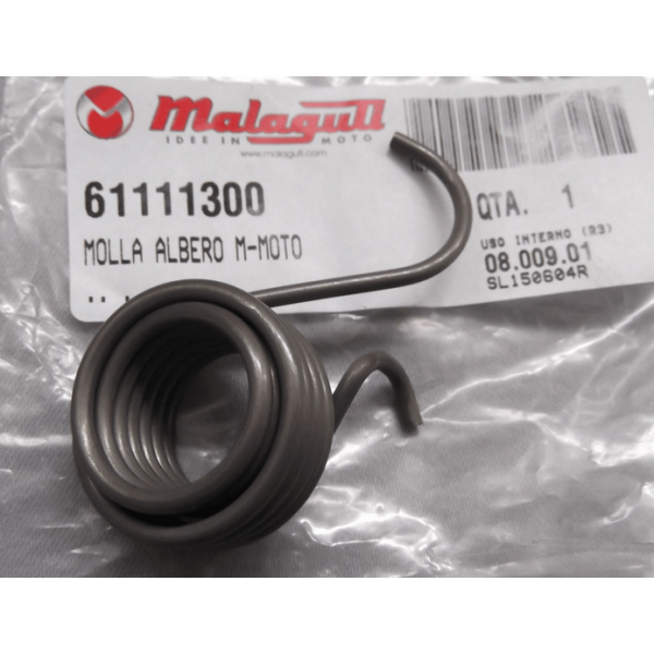 MOLLA MESSA IN MOTO GRIZZLY MALAGUTI