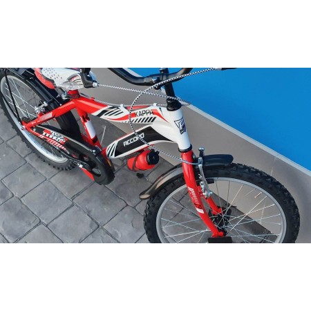 CICLO MTB 16 KAPPA 1V RECORD