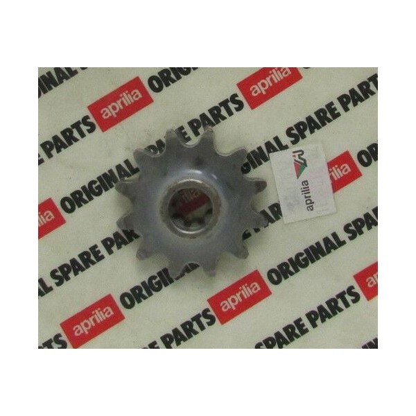 PIGNONE Z 12 APRILIA