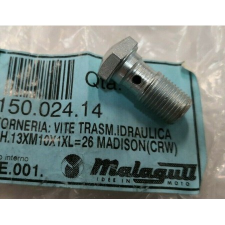 VITE TRASMISSIONE IDRAULICA MALAGUTI