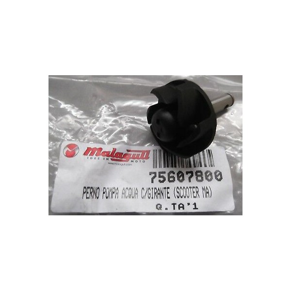 PERNO POMPA ACQUA C/GIRANTE MALAGUTI