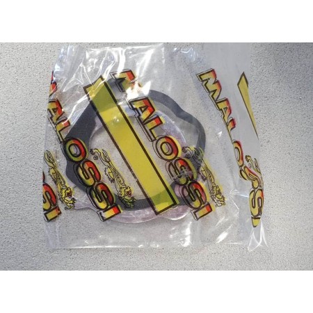 MODIFICA SI #46.5 MALOSSI