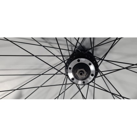 RUOTA CICLO ANTERIORE ORTLES MTB 29 BYTE