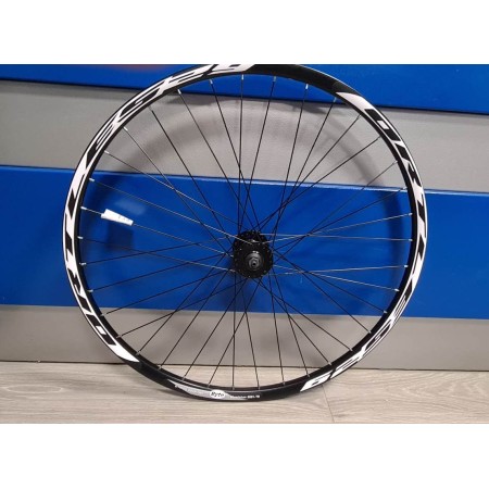 RUOTA CICLO ANTERIORE ORTLES MTB 29 BYTE