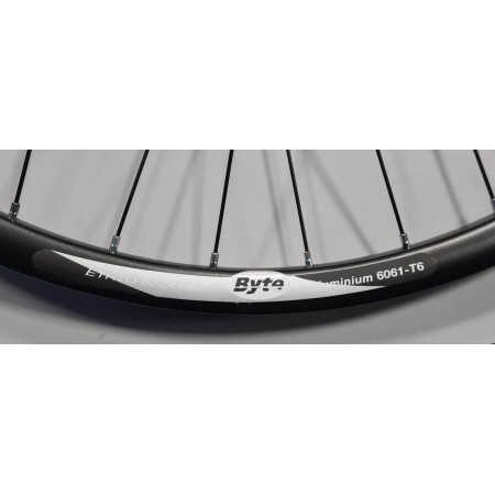 RUOTA CICLO ANTERIORE ORTLES MTB 29 BYTE